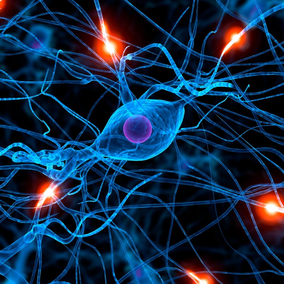 CIENCIAS NATURALES