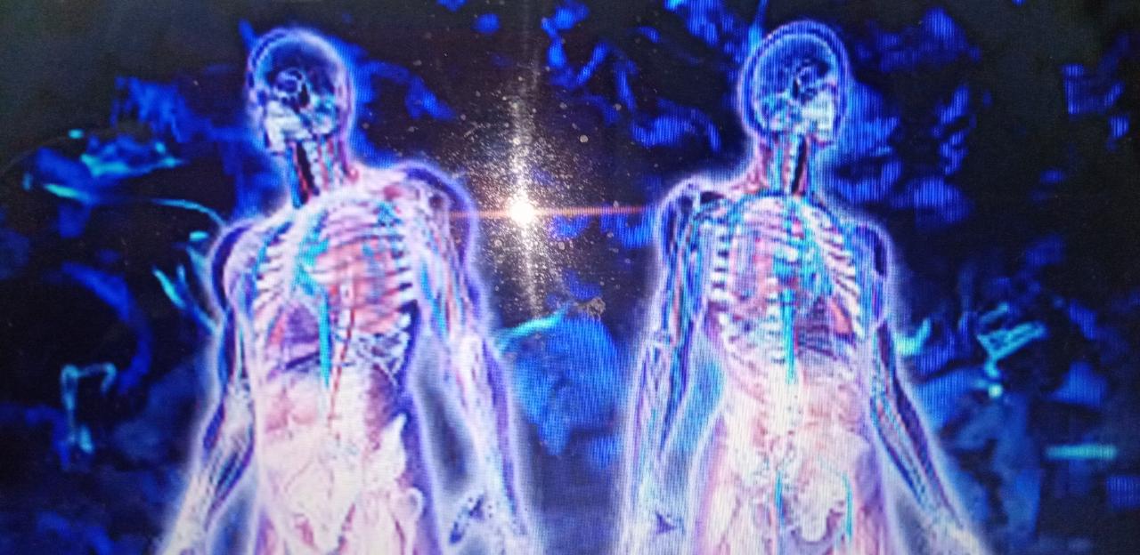 EL MARAVILLOSO CUERPO HUMANO
