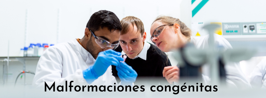 Malformaciones congénitas